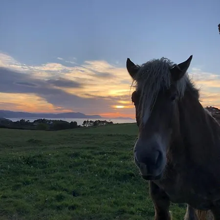 El Tejado De Santa Ana Barrika